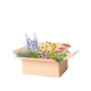 Færdigbed tørt bed