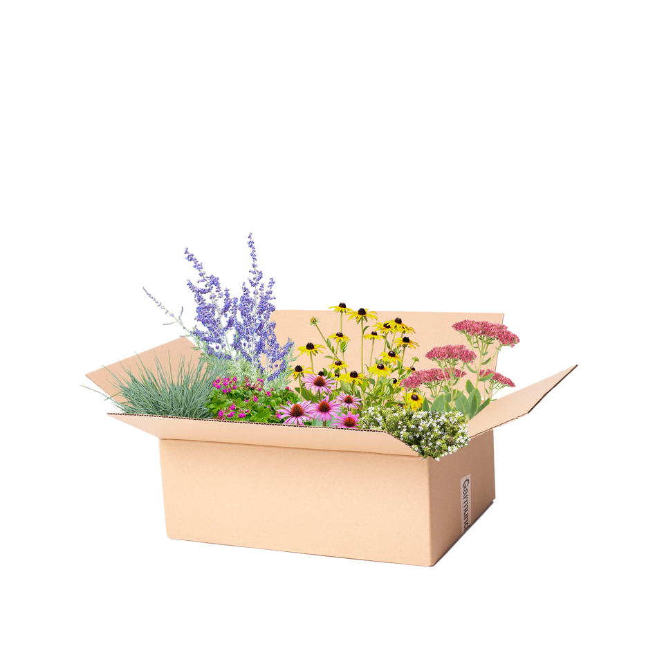 Færdigbed tørt bed