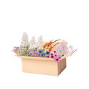 Færdigbed snitblomster