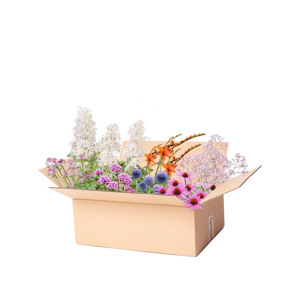 Færdigbed snitblomster
