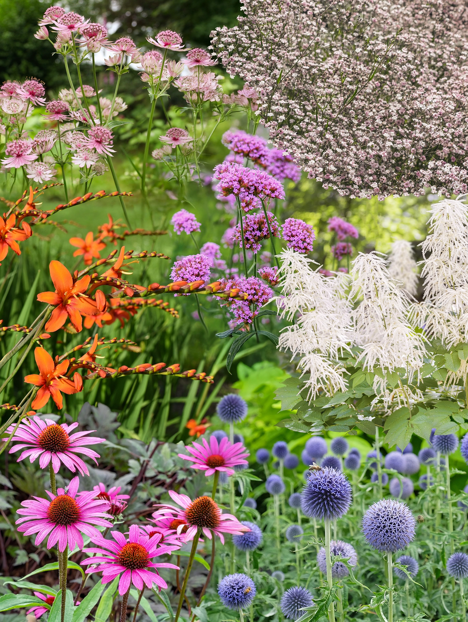 Færdigbed snitblomster