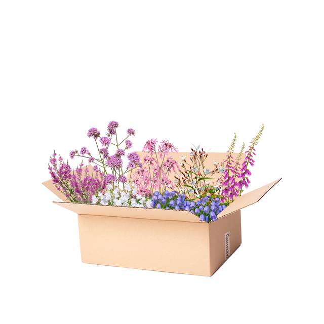 Færdigbed vildt bed